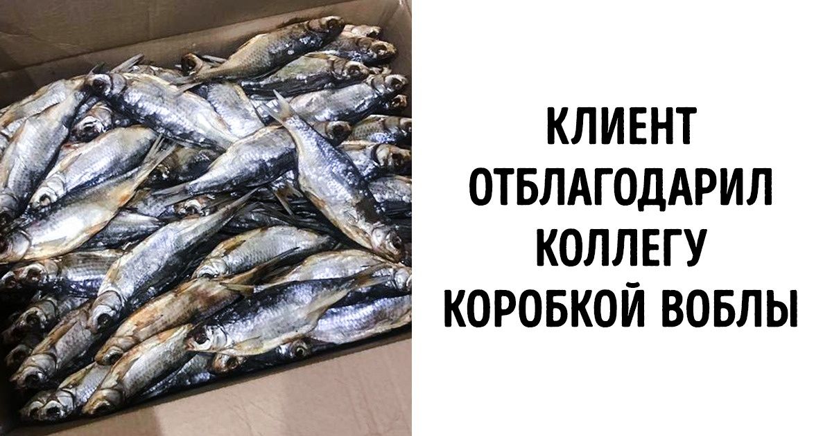 20+ человек рассказали о несуразных подарках, которые они запомнят на всю жизнь 20+ человек рассказали о несуразных подарках, которые они запомнят на всю жизнь