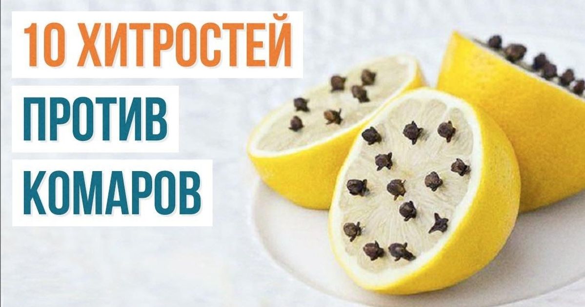 10 способов борьбы с комарами и их укусами