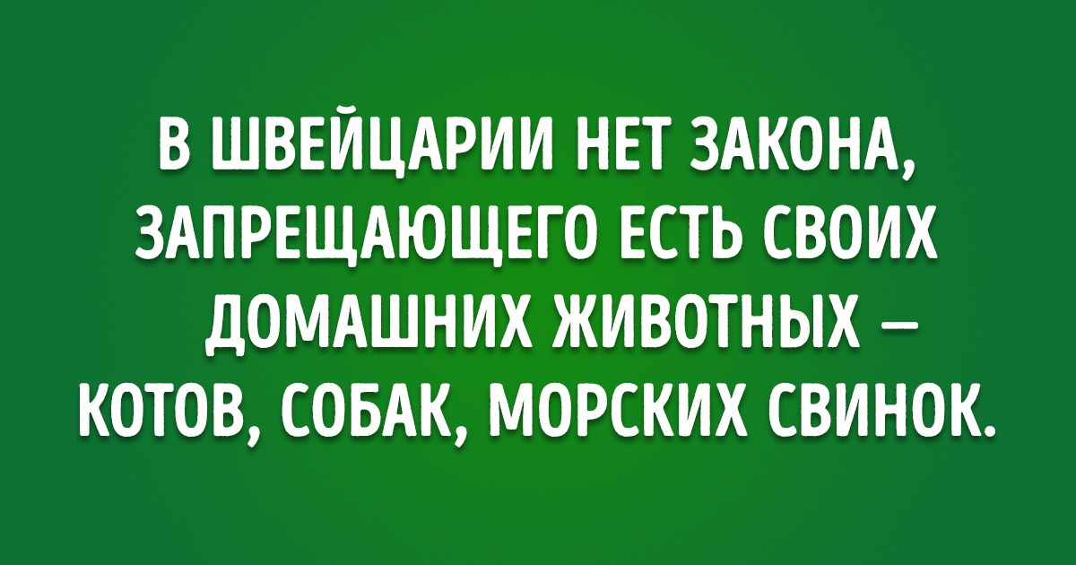 7 фактов о жизни в Швейцарии, о которых вы точно не узнаете из путеводителей 7 фактов о жизни в Швейцарии, о которых вы точно не узнаете из путеводителей