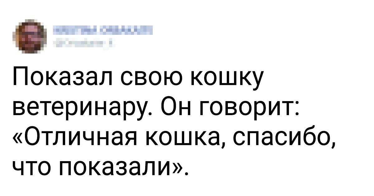 19 зажигательных твитов от тех, кому перестать шутить сложнее, чем перестать дышать 19 зажигательных твитов от тех, кому перестать шутить сложнее, чем перестать дышать