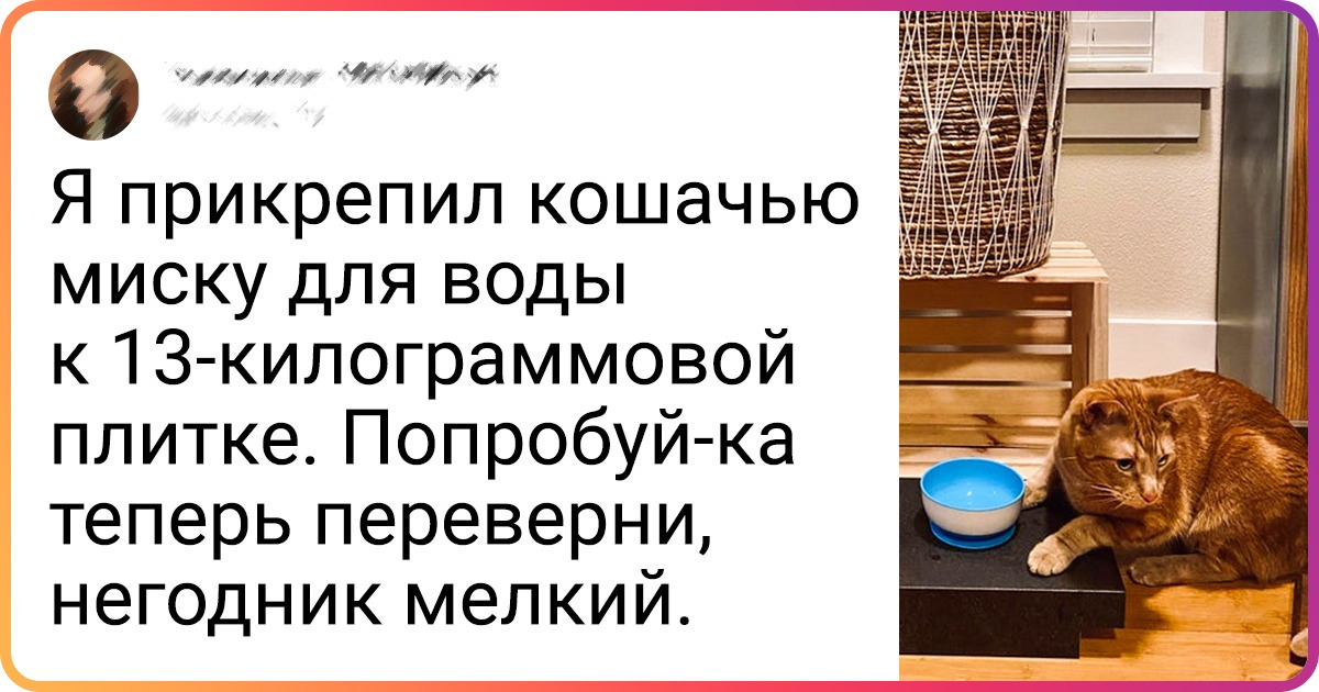 15+ доказательств того, что питомцы — это не только «мур-мур-мур», но иногда еще и парочка седых волос на голове 15+ доказательств того, что питомцы — это не только «мур-мур-мур», но иногда еще и парочка седых волос на голове