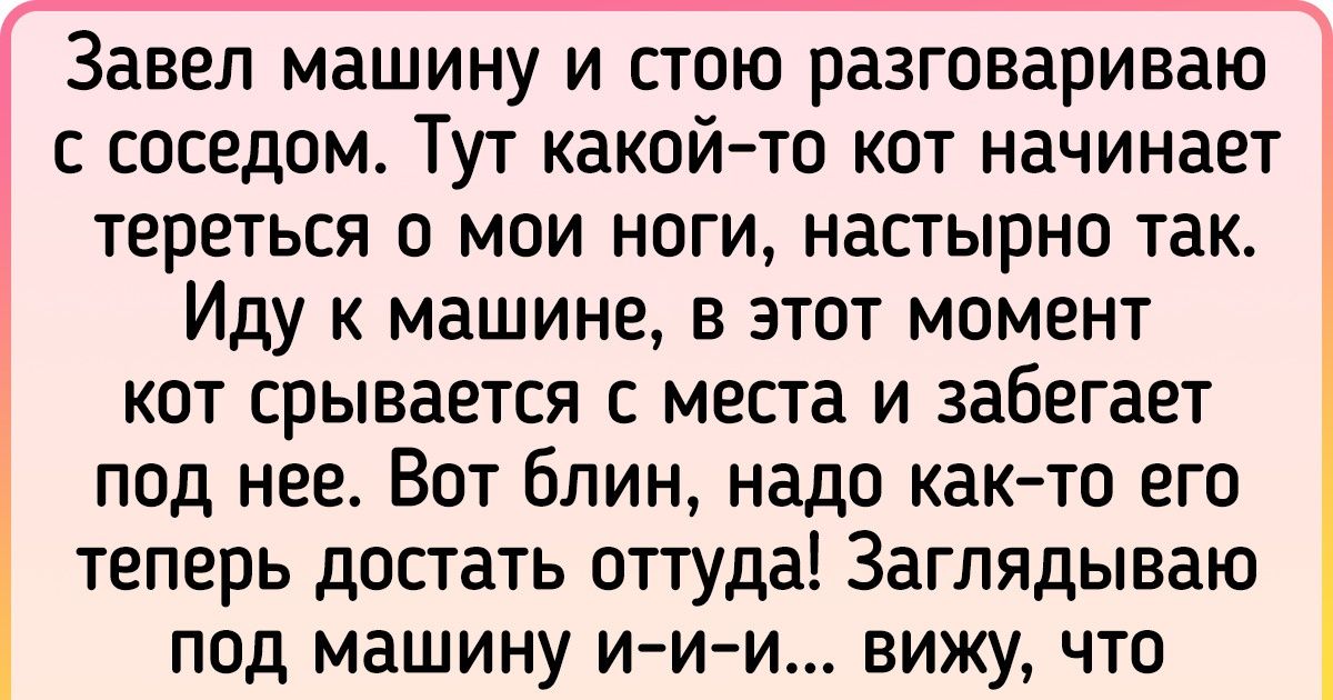 15+ доказательств того, что котики — те же люди, только мягкие и пушистые 15+ доказательств того, что котики — те же люди, только мягкие и пушистые