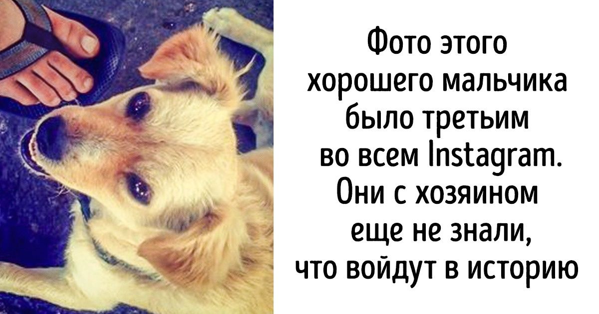 История Instagram, который создавался для друзей, а сегодня в нем сидит даже Папа Римский История Instagram, который создавался для друзей, а сегодня в нем сидит даже Папа Римский