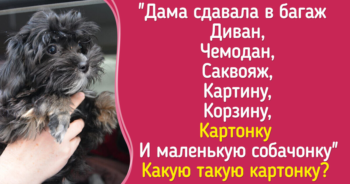 14 слов, которые сбивали нас с толку на уроках литературы. А вы знаете их значение?