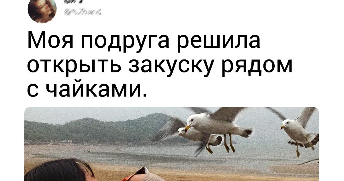 15+ доказательств того, что самые крутые кадры получаются внезапно 15+ доказательств того, что самые крутые кадры получаются внезапно