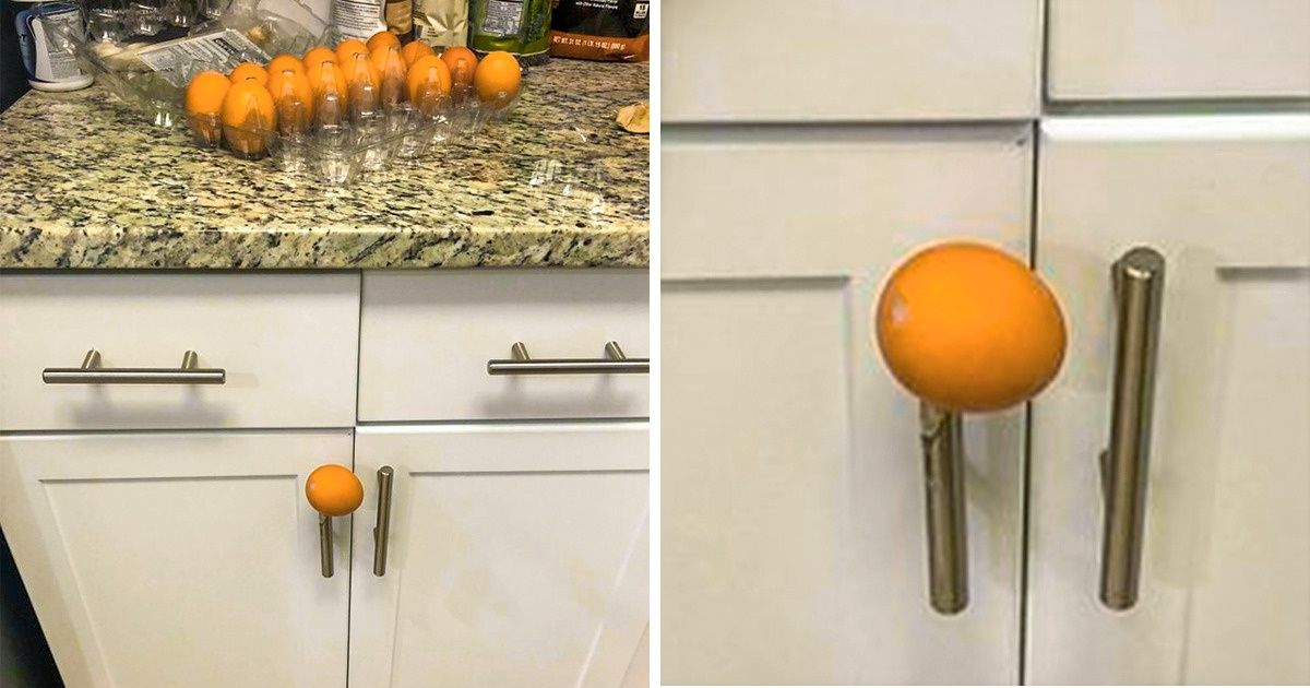 26 курьезных снимков, на которые тянет посмотреть еще и еще. И так раз пять 26 курьезных снимков, на которые тянет посмотреть еще и еще. И так раз пять