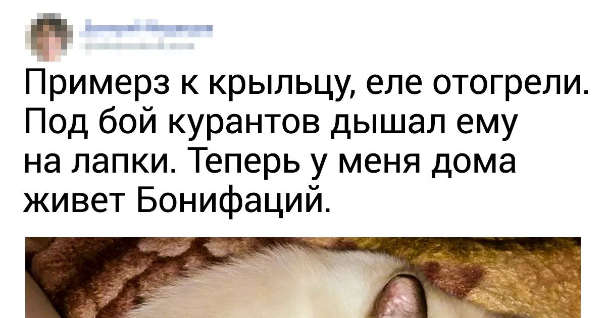 18 простых людей, которые сдали экзамен на человечность