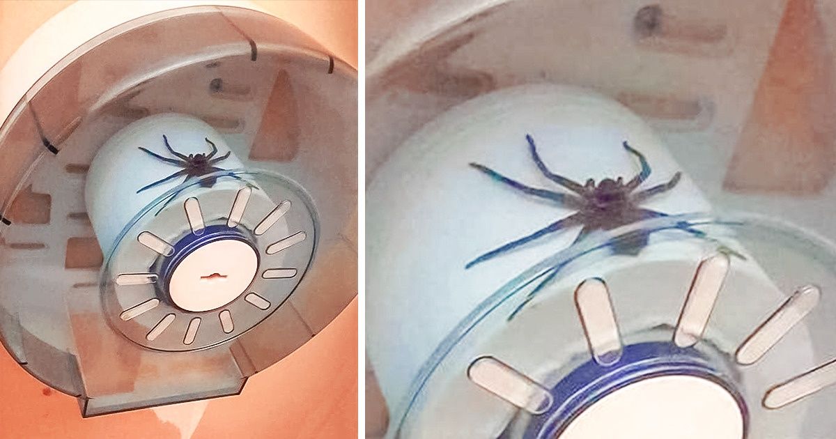 20 фотографий, глядя на которые вам захочется постучать по дереву 20 фотографий, глядя на которые вам захочется постучать по дереву