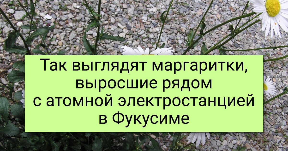 17 человек, которым пришлось протереть глаза, чтобы поверить в увиденное 17 человек, которым пришлось протереть глаза, чтобы поверить в увиденное