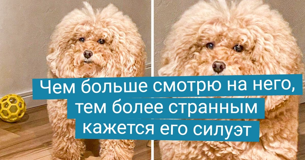 20+ человек, которые разглядели бомбическую находку прямо у себя под носом