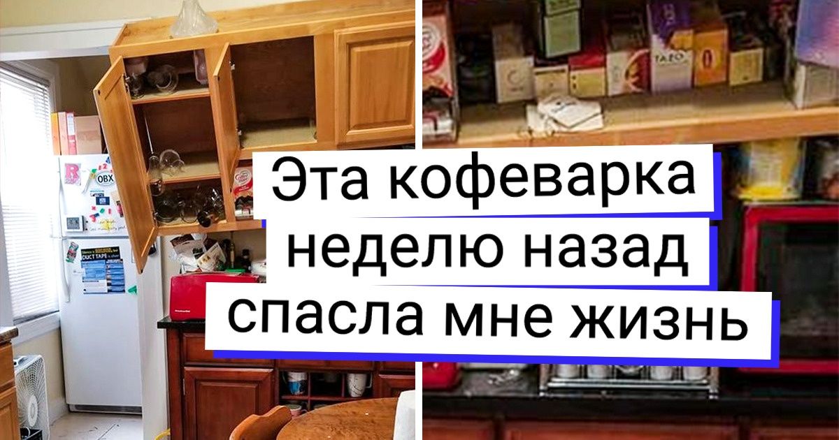 19 человек, которым сюрприз свалился как снег на голову 19 человек, которым сюрприз свалился как снег на голову
