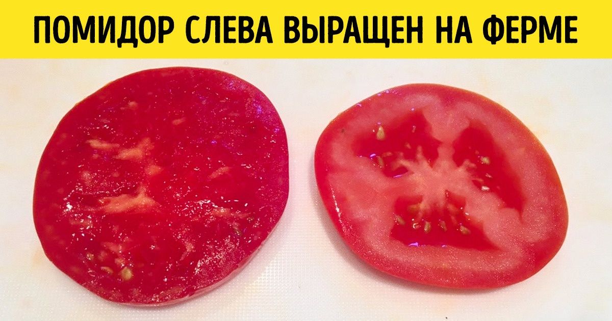 30+ вещей, которые мало кто видел вживую 30+ вещей, которые мало кто видел вживую