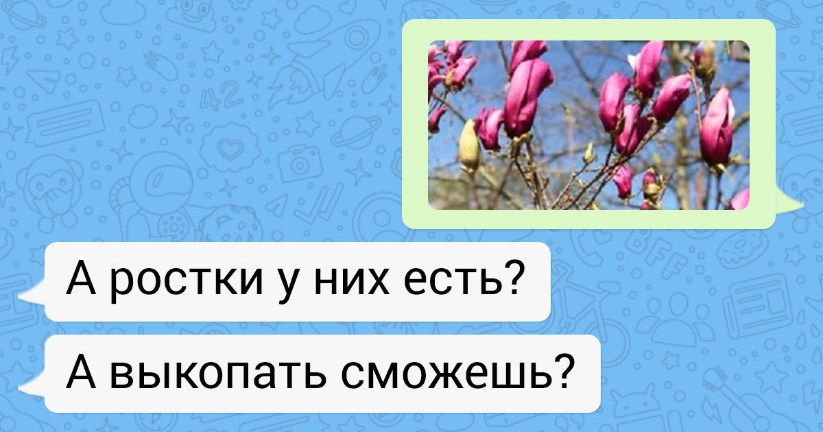20+ доказательств того, что логика наших мам абсолютно неповторима 20+ доказательств того, что логика наших мам абсолютно неповторима