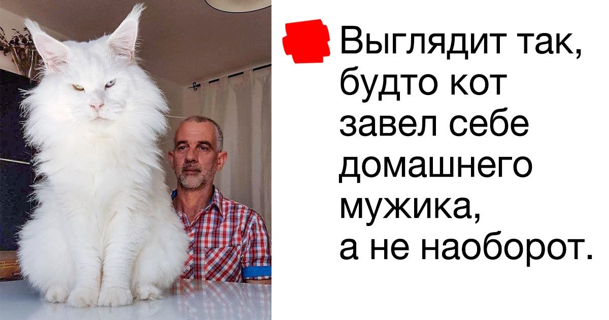 16 комментариев от тех, кто не в силах выключить свой фонтан остроумия 16 комментариев от тех, кто не в силах выключить свой фонтан остроумия