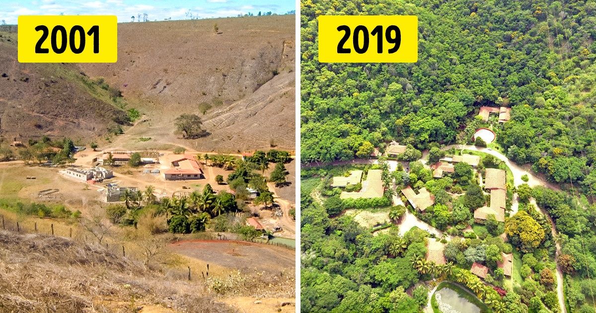 19 сильных фотографий, доказывающих, что у нашей планеты еще есть шанс 19 сильных фотографий, доказывающих, что у нашей планеты еще есть шанс