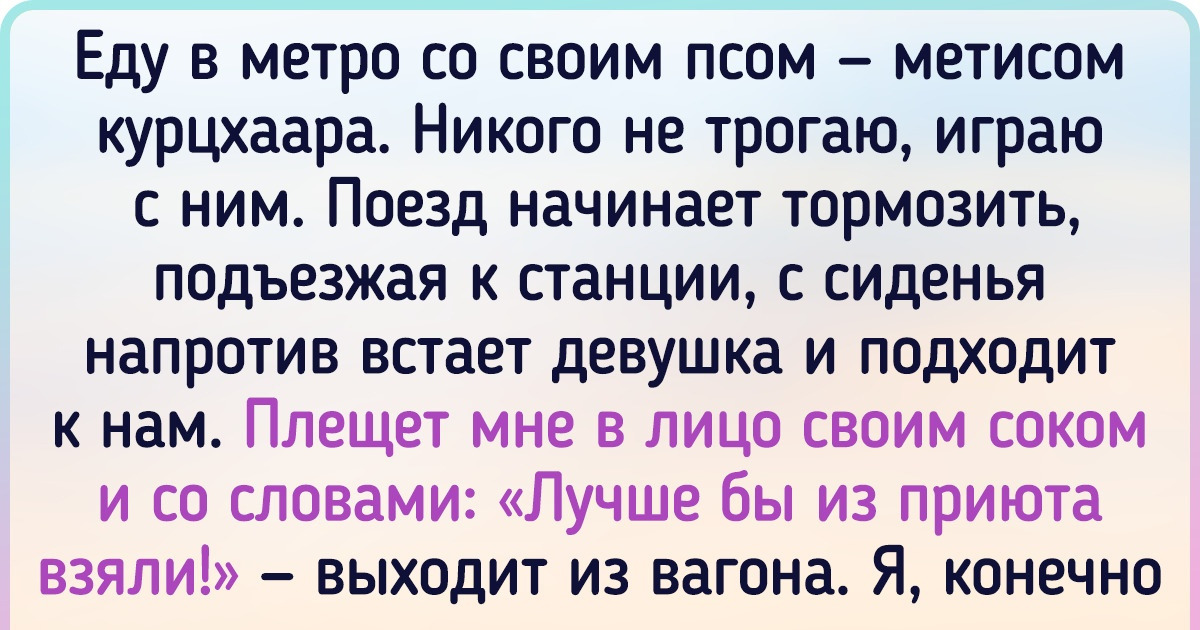 15 историй о людях, у которых явно под одеждой спрятан черный пояс по наглости 15 историй о людях, у которых явно под одеждой спрятан черный пояс по наглости