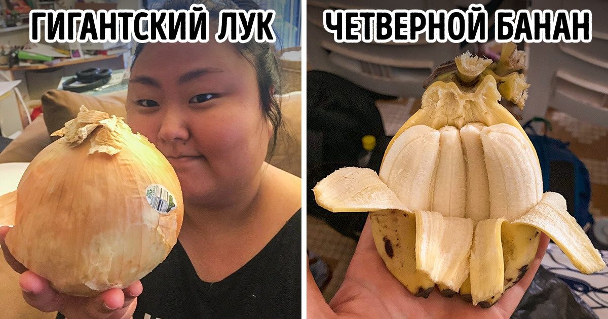 20 чудес природы, которые доказывают, что миру еще есть чем нас удивить