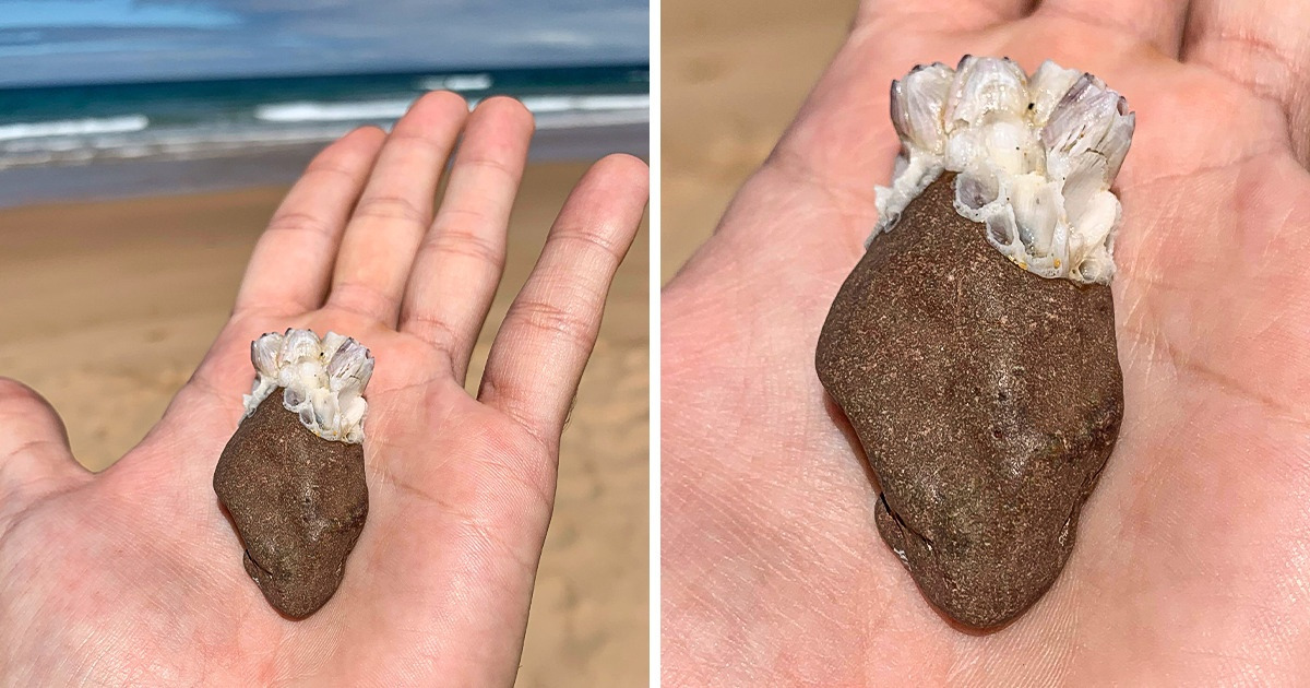 20+ человек, которые решили просто прогуляться вдоль моря, а наткнулись на такое, что хоть всему свету рассказывай