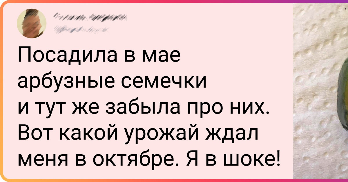 17 садоводов, которые вырастили такое, что хоть стой, хоть падай 17 садоводов, которые вырастили такое, что хоть стой, хоть падай