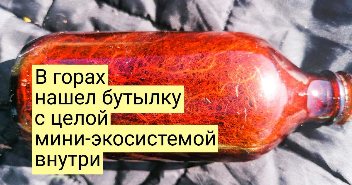 20+ крутых случайных находок, которыми похвастались пользователи сети