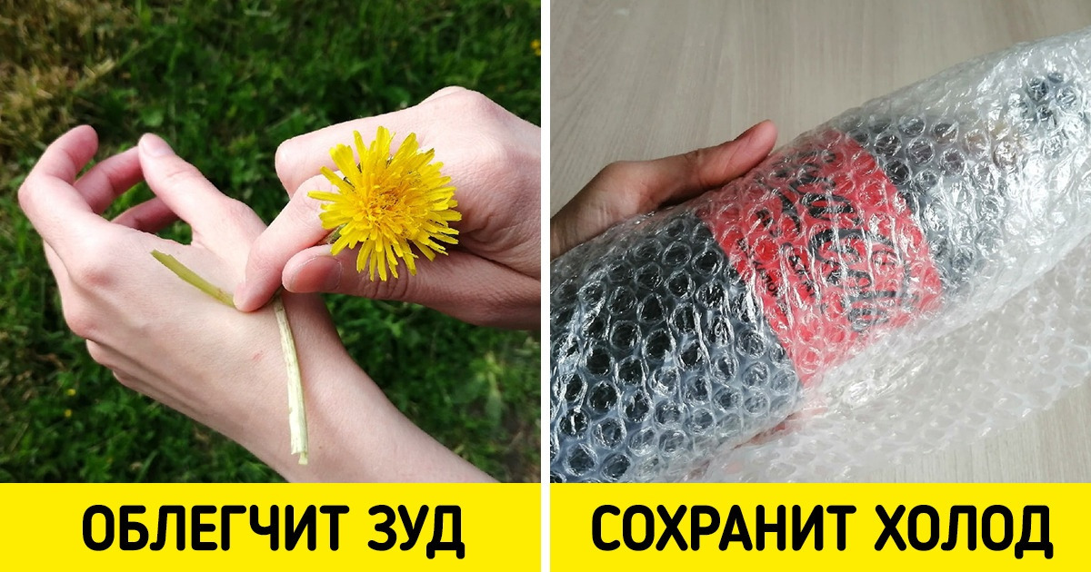 13 летних лайфхаков, с которыми вы забудете о назойливых комарах и испепеляющей жаре