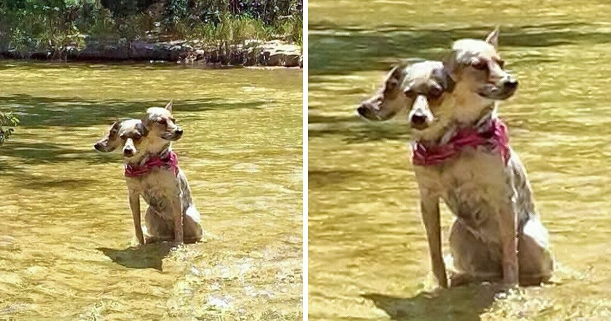 26 фотографий, разгадать которые с первого раза способен разве что Шерлок Холмс