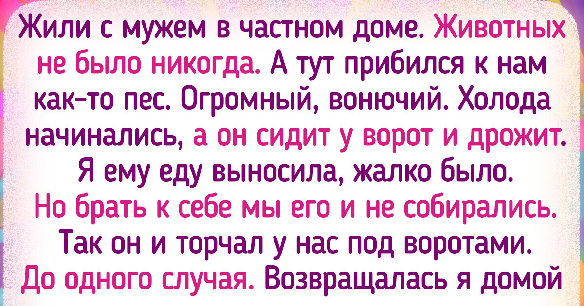 15 человек, которым внезапно на голову свалилось их пушистое счастье