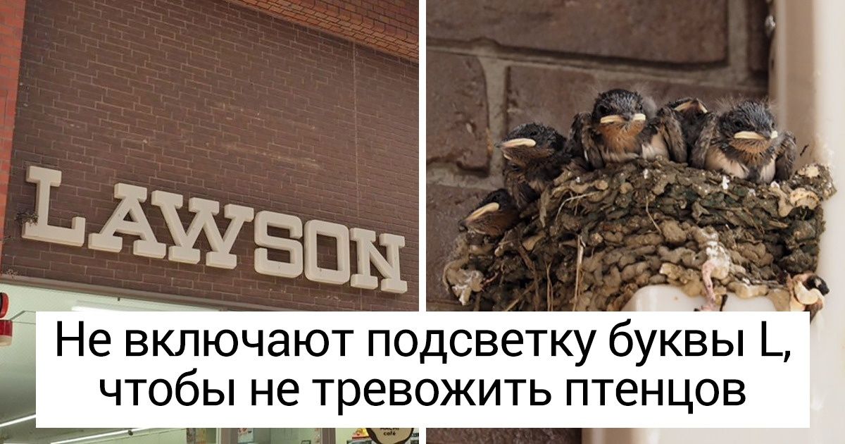 10 примеров бережного отношения к природе, которые поразили нас в самое сердце