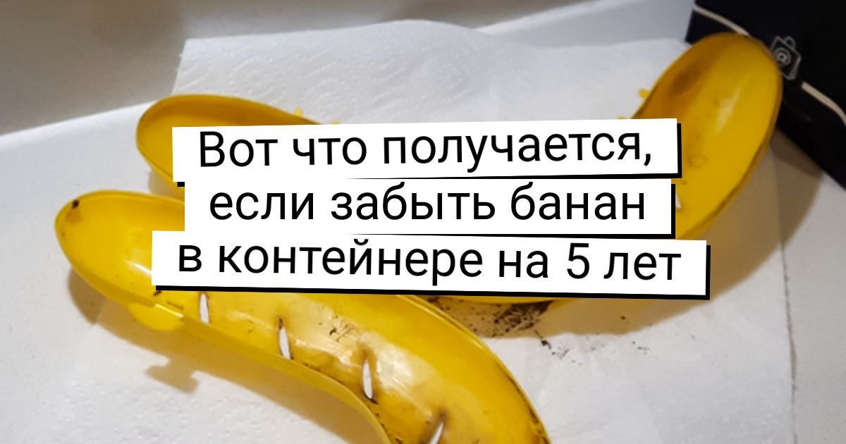 20+ человек, которым удалось поймать в кадр наглядный ответ на вопрос «Что будет, если...» 20+ человек, которым удалось поймать в кадр наглядный ответ на вопрос «Что будет, если...»