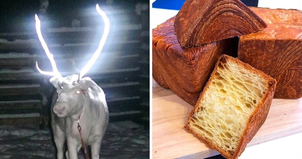 18 фотографий, которые докажут, в каком все-таки странном мире мы живем 18 фотографий, которые докажут, в каком все-таки странном мире мы живем