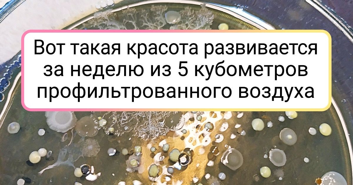 19 доказательств того, что у природы всегда припасена пара тузов в рукаве