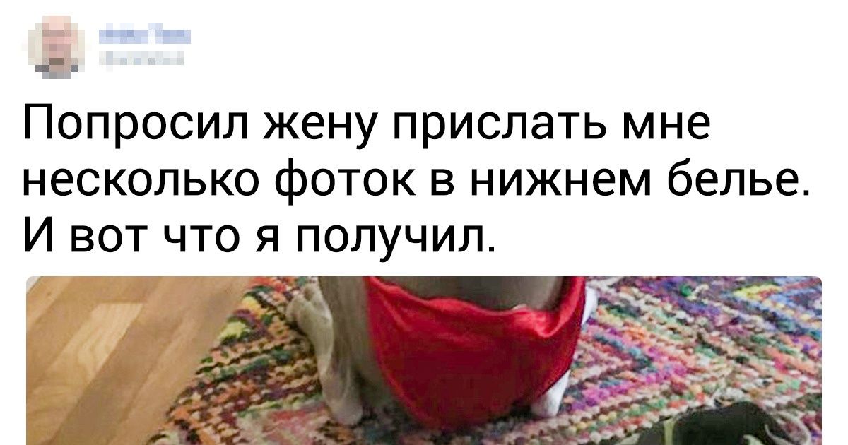 15+ раз, когда люди в точности следовали инструкциям, но результат получился сомнительным 15+ раз, когда люди в точности следовали инструкциям, но результат получился сомнительным