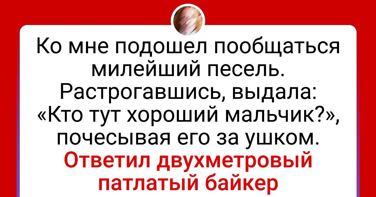 16 человек, которые так умело флиртуют, что хочется взять у них пару уроков 16 человек, которые так умело флиртуют, что хочется взять у них пару уроков