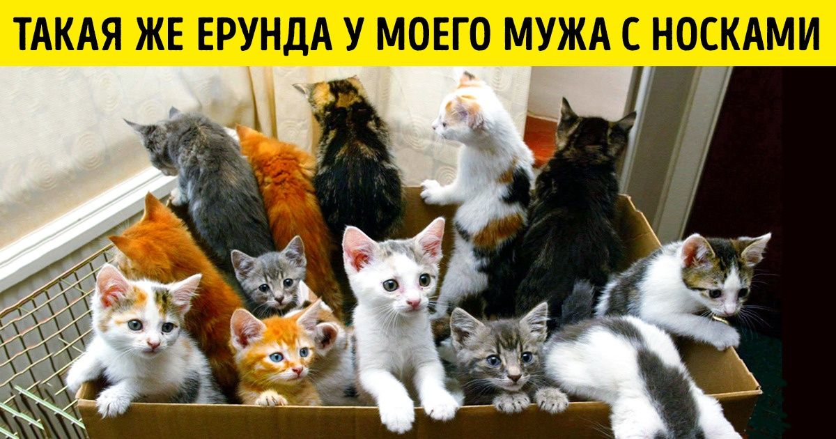 15 подписей, которые заставят вас смеяться над обычными фотографиями