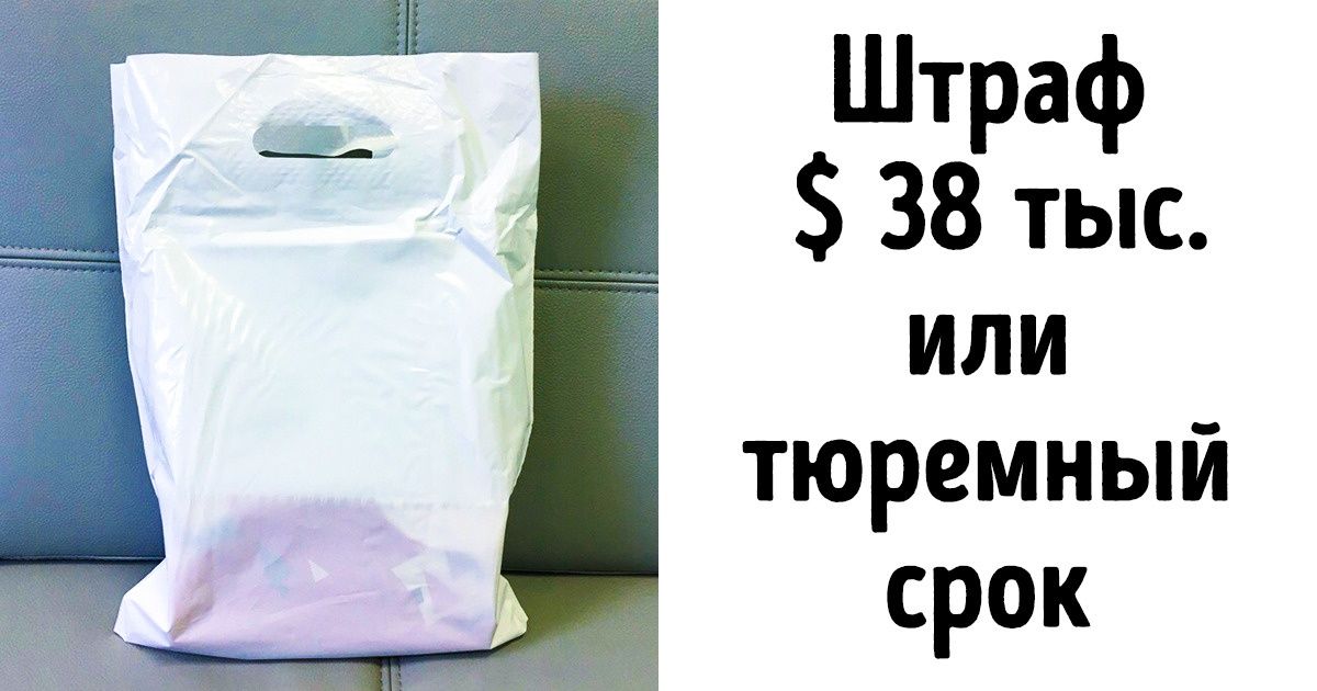 10+ обычных вещей, за ввоз или вывоз которых в некоторых странах может не поздоровиться 10+ обычных вещей, за ввоз или вывоз которых в некоторых странах может не поздоровиться