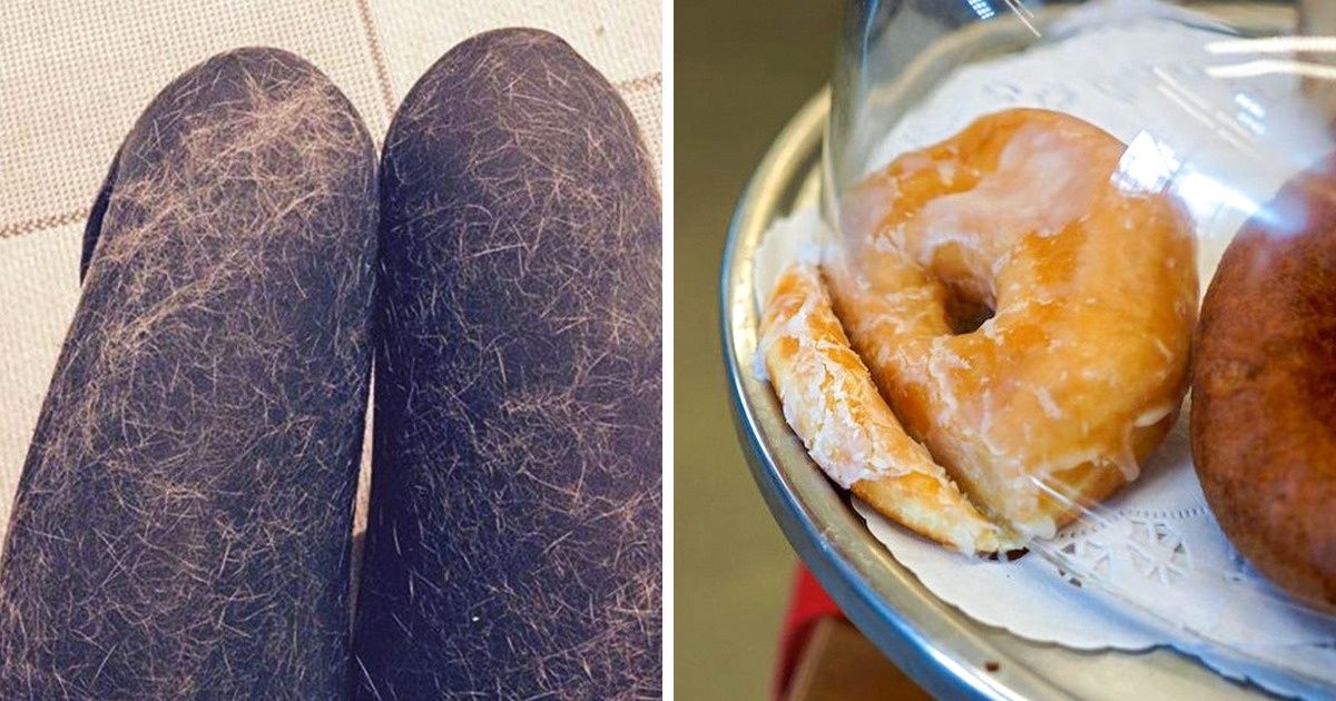 24 снимка, которые действуют на людей как красная тряпка на быка 24 снимка, которые действуют на людей как красная тряпка на быка