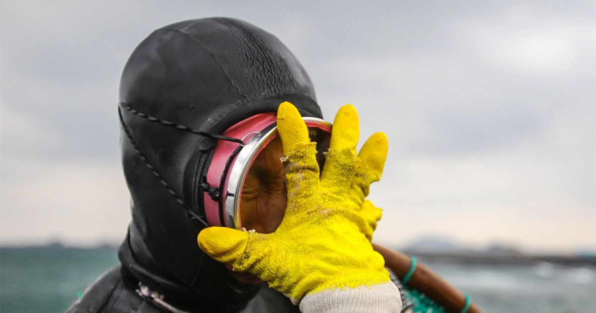 Чтобы спасти своих детей от голода, кореянки освоили опасную мужскую профессию, в которой им до сих пор нет равных