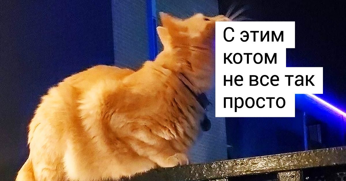 18 человек, которые просто нажали на кнопку, но внезапно сделали гениальный снимок