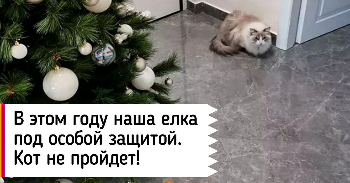 20 фото, которые напомнят, что Новый год уже совсем близко 20 фото, которые напомнят, что Новый год уже совсем близко