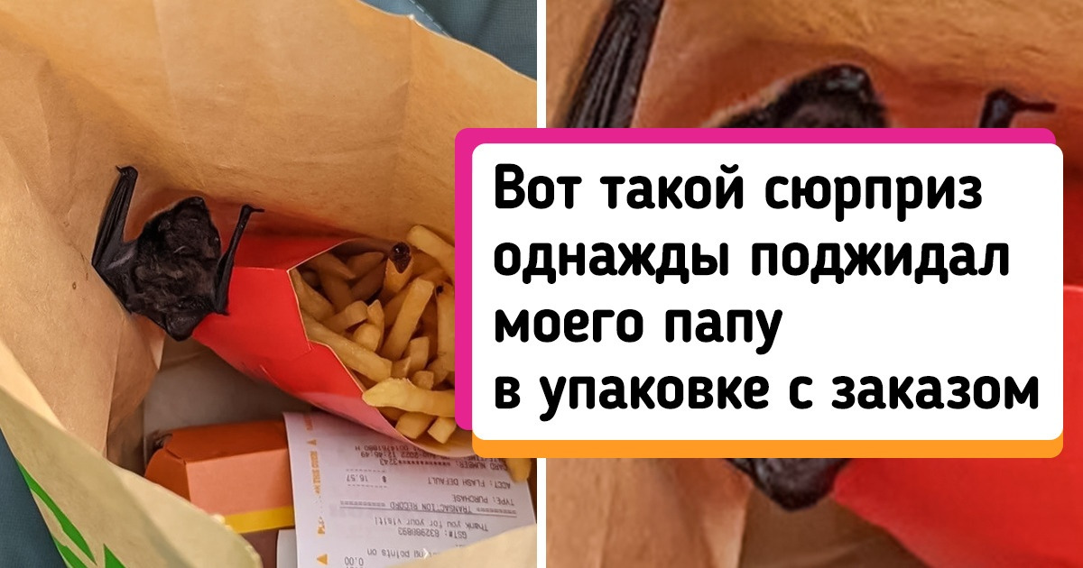 17 животных, у которых в арсенале припасены 100500 способов, как прийти к нам легкой джазовой походкой