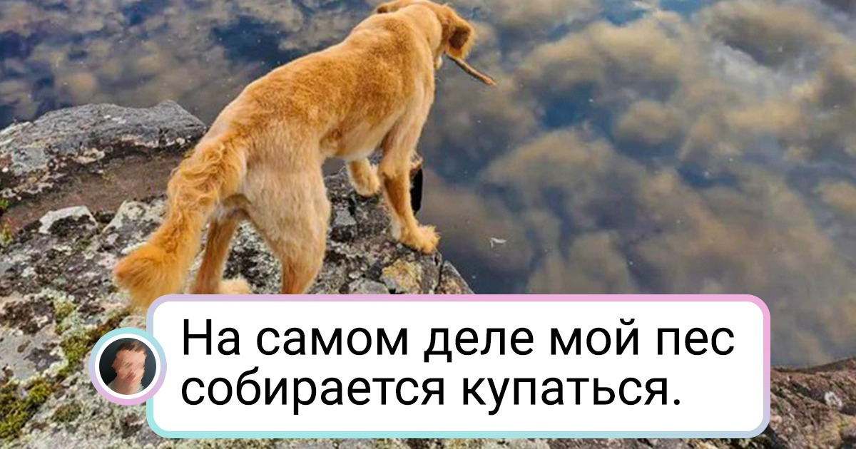 18 подтверждений того, что нас обожает обманывать наш же собственный мозг