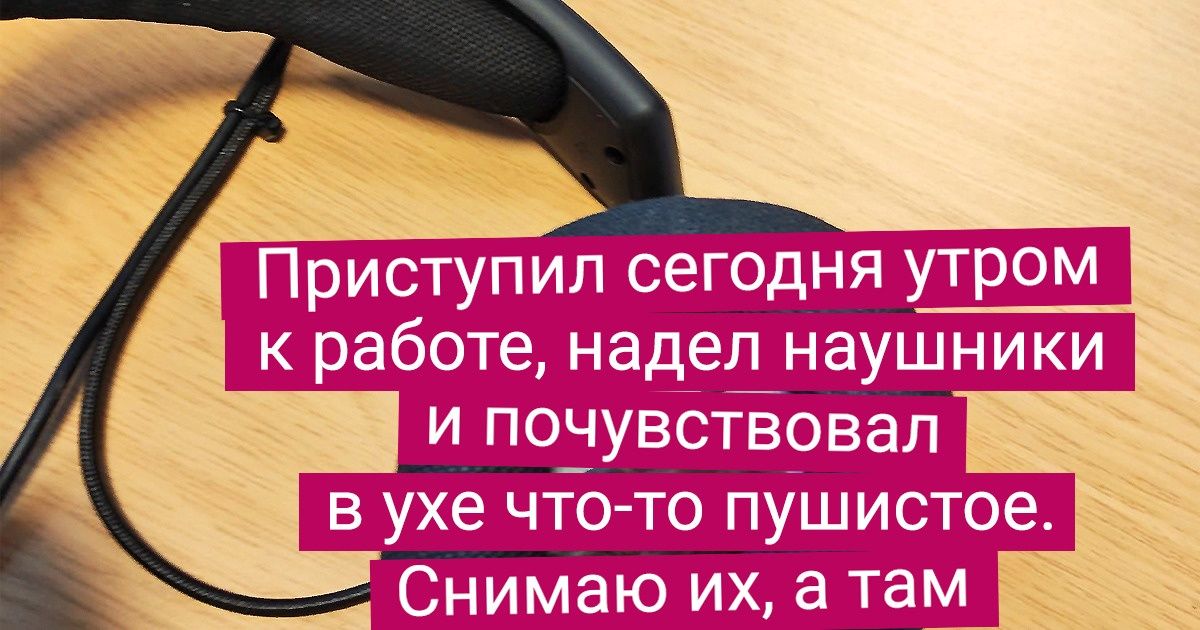 18 человек, которые застали такие редкости, что невольно вырывается: «Мать моя женщина!» 18 человек, которые застали такие редкости, что невольно вырывается: «Мать моя женщина!»