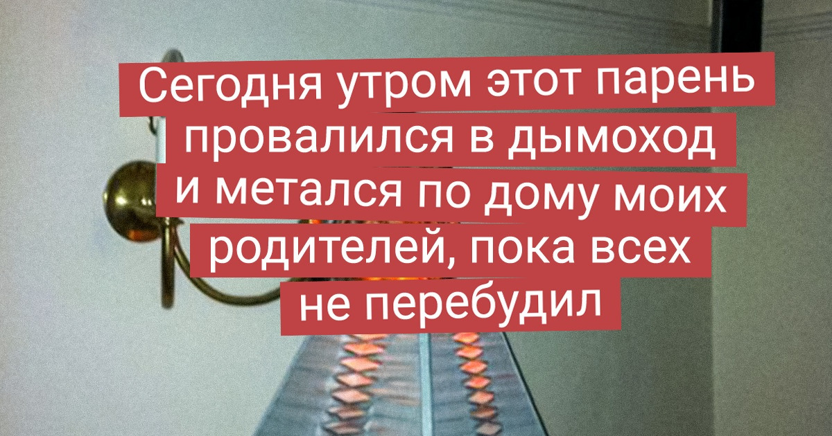 19 везунчиков, которые жили себе спокойно, пока к ним в гости не постучалась дикая животинка 19 везунчиков, которые жили себе спокойно, пока к ним в гости не постучалась дикая животинка