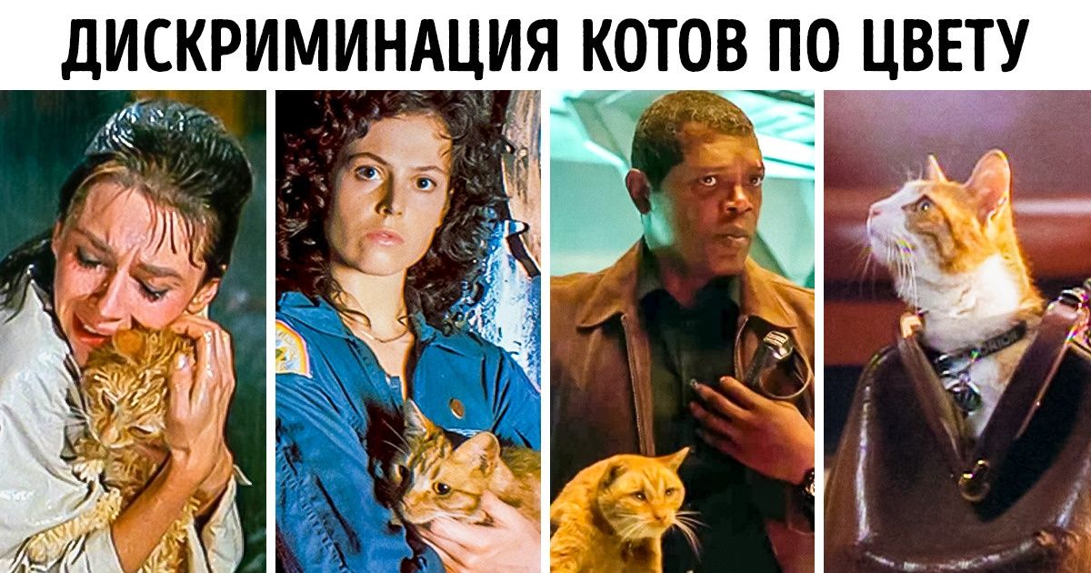 Люди рассказали, от каких штампов Голливуду стоило бы избавиться уже давным-давно Люди рассказали, от каких штампов Голливуду стоило бы избавиться уже давным-давно