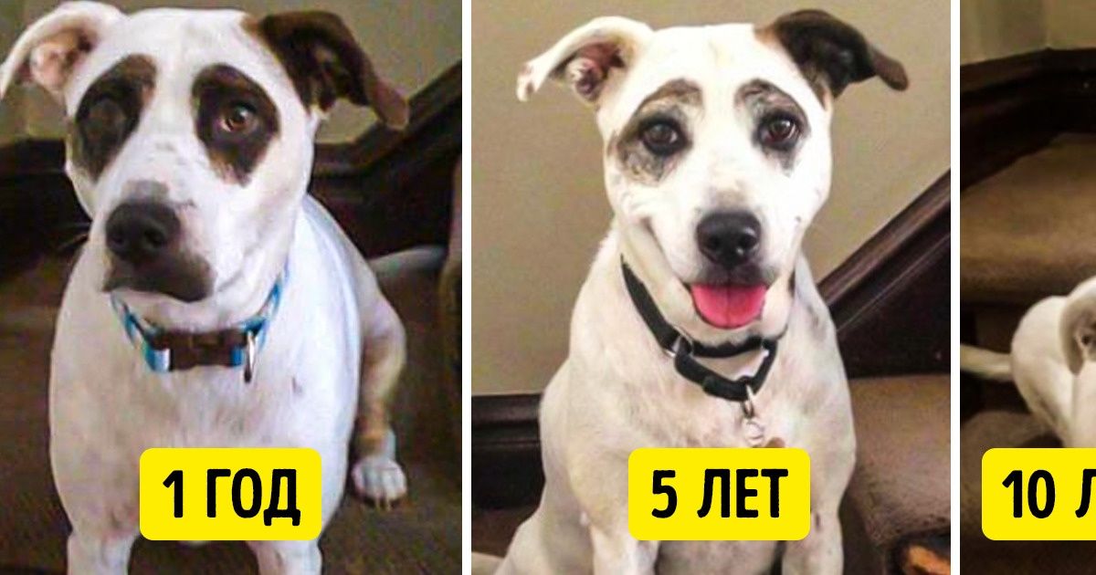 16 человек поделились снимками, которые кажутся обычными только на первый взгляд 16 человек поделились снимками, которые кажутся обычными только на первый взгляд