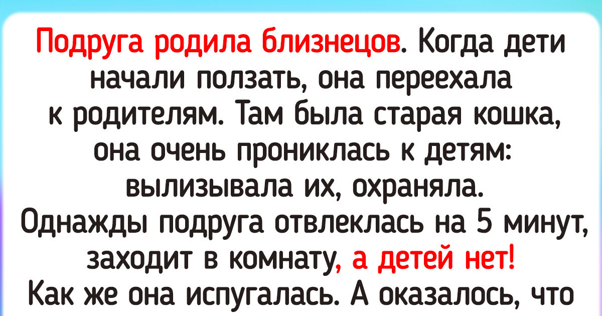 15 теплых историй, которые несут позитив в мир