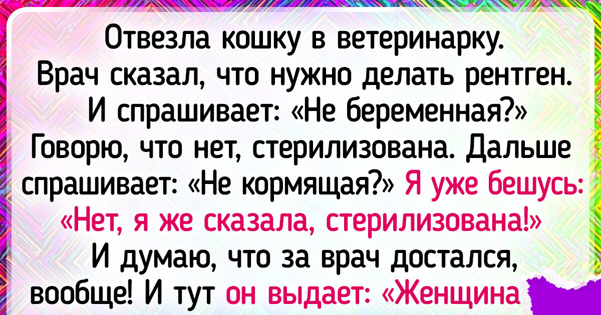 18 походов к ветеринару, которые закончились целой лохматой историей