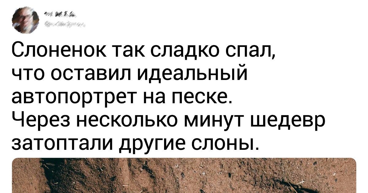 16 неповторимых снимков, которые сыграют в рулетку с вашими эмоциями
