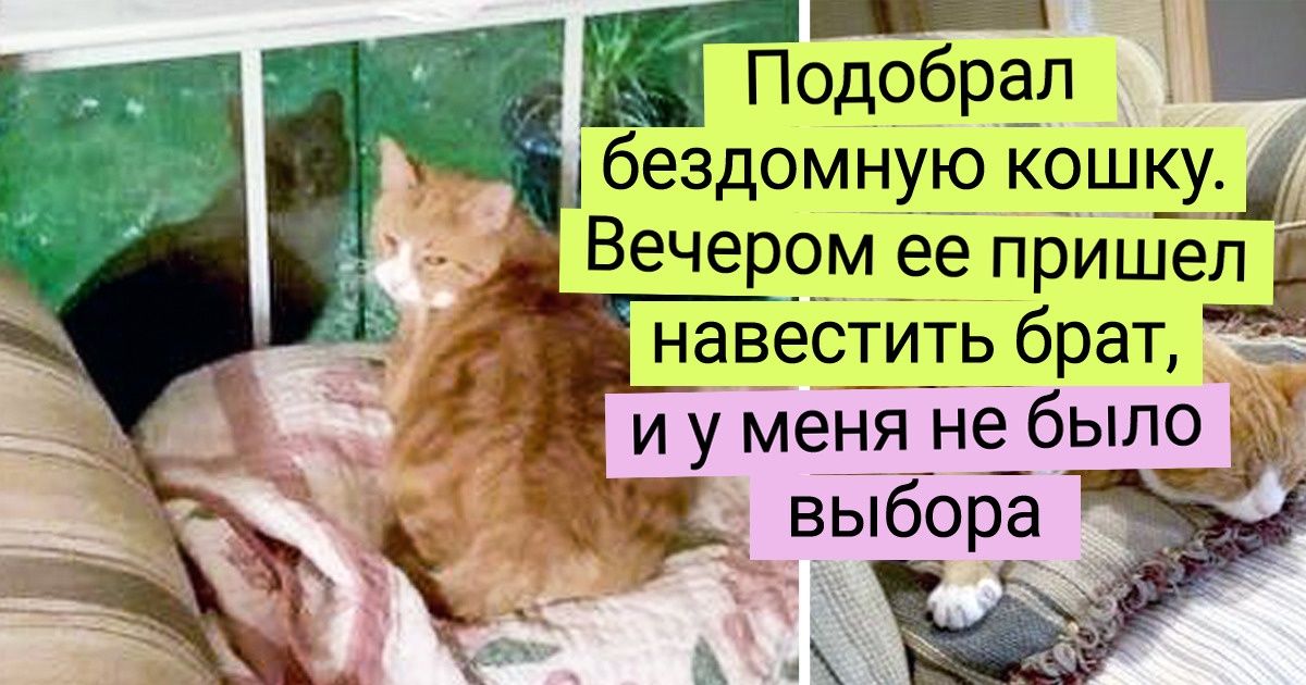 20 добрых людей, чьи сердца светлее и чище, чем лепестки подснежников 20 добрых людей, чьи сердца светлее и чище, чем лепестки подснежников