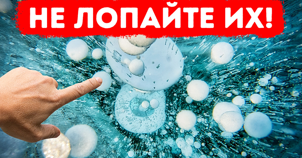 Если увидите эти замороженные пузыри, не трогайте их